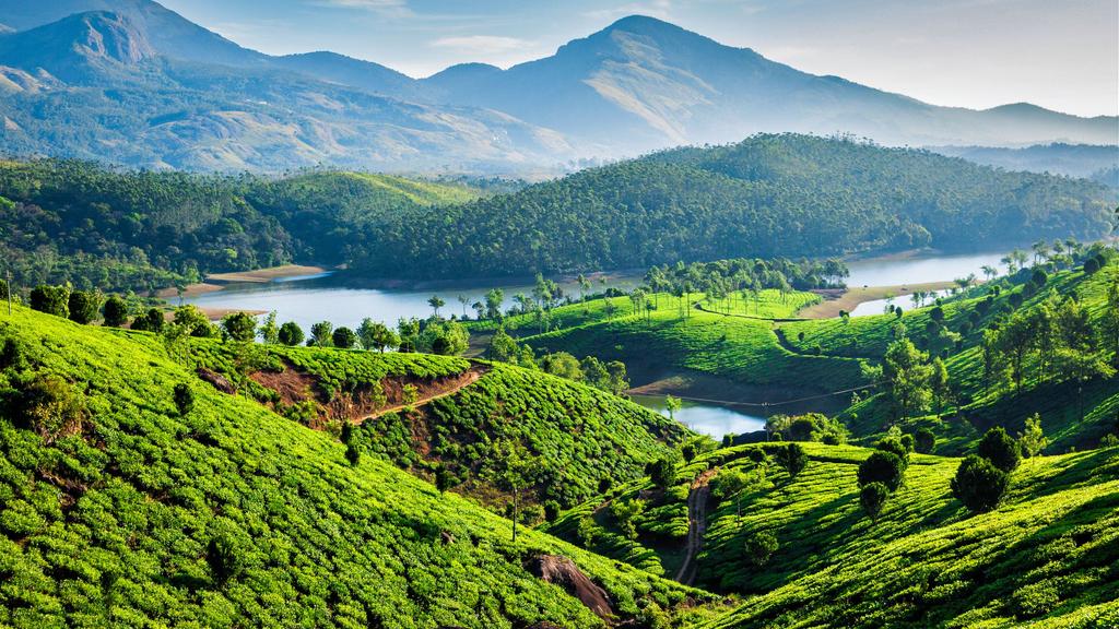 10-day-medical-and-wellness-tour-in-kerala